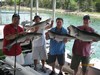 (07/10/2018) - Nice Striped Bass
